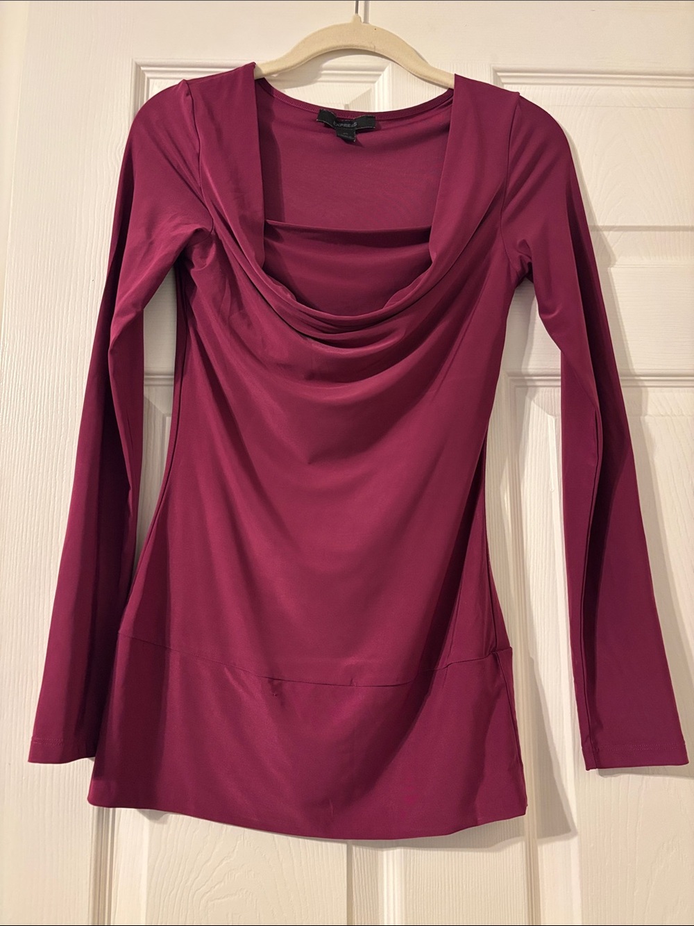 Express Berry Cowl Neck Long Sleeve Top